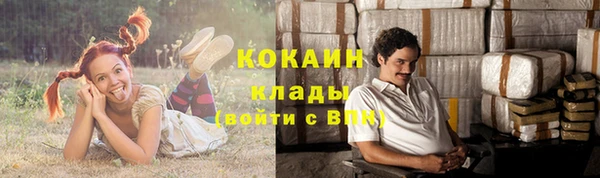 винт Арсеньев