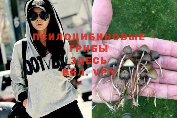 шишки Аркадак