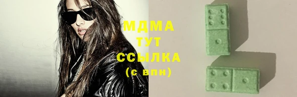 шишки Аркадак